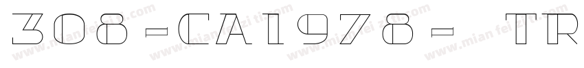 308-CAI978-常规True T字体转换